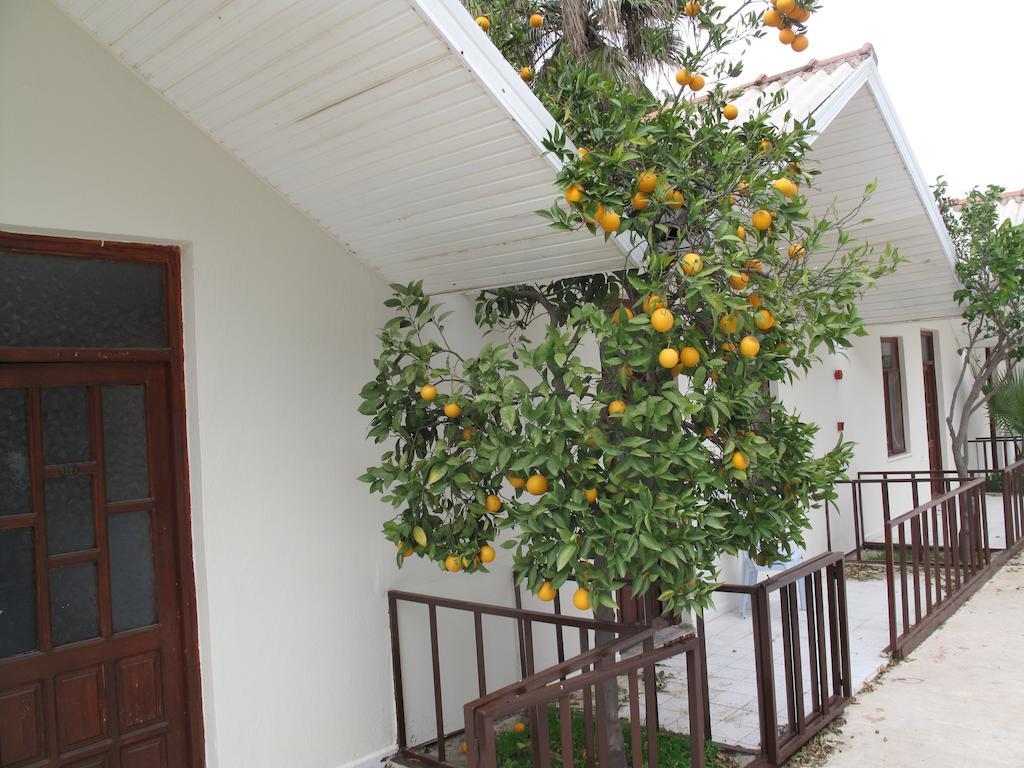 Dream Park Bungalow Titreyengol Luaran gambar