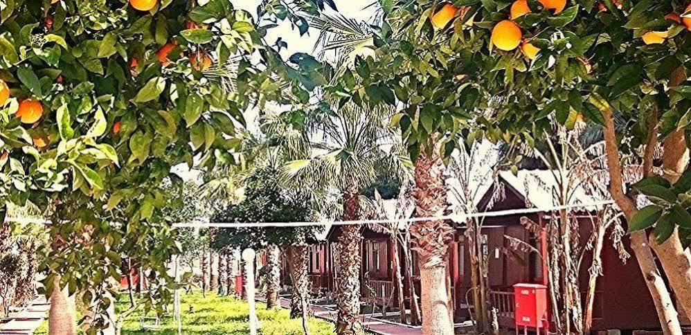 Dream Park Bungalow Titreyengol Luaran gambar