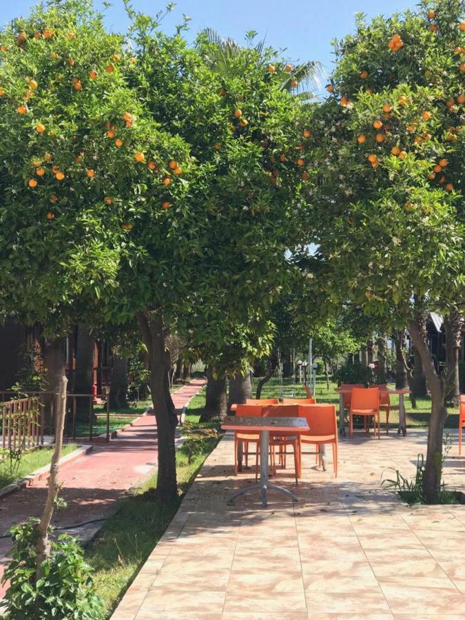 Dream Park Bungalow Titreyengol Luaran gambar